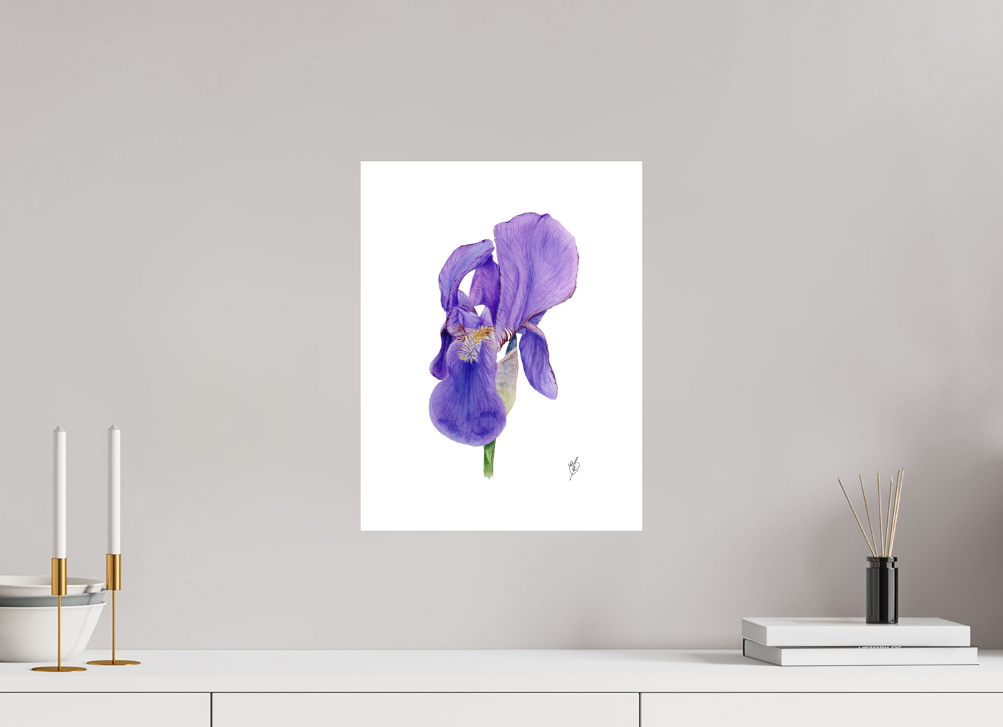 Iris